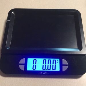 Taylor kitchen scale